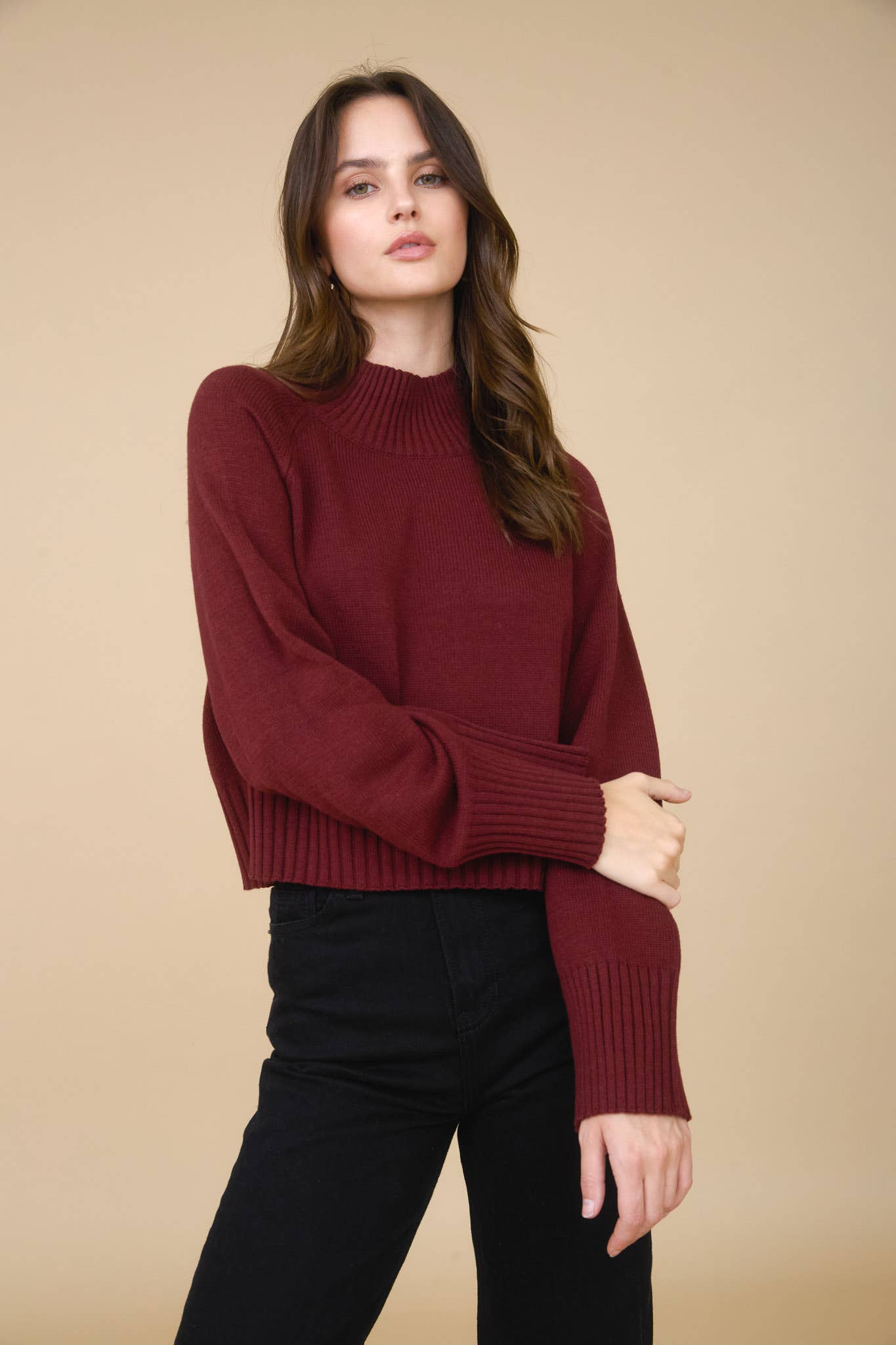 Allie mock neck sweater