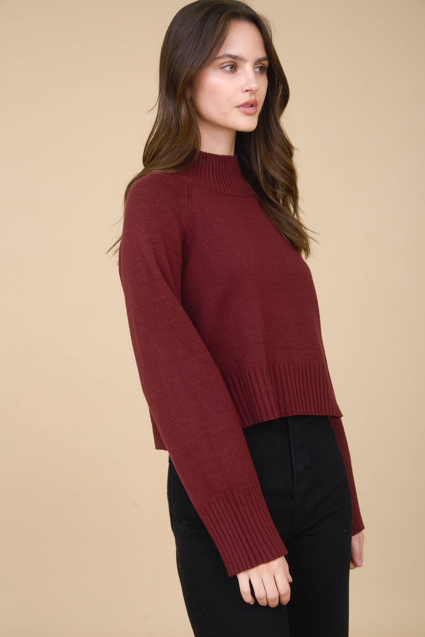 Allie mock neck sweater