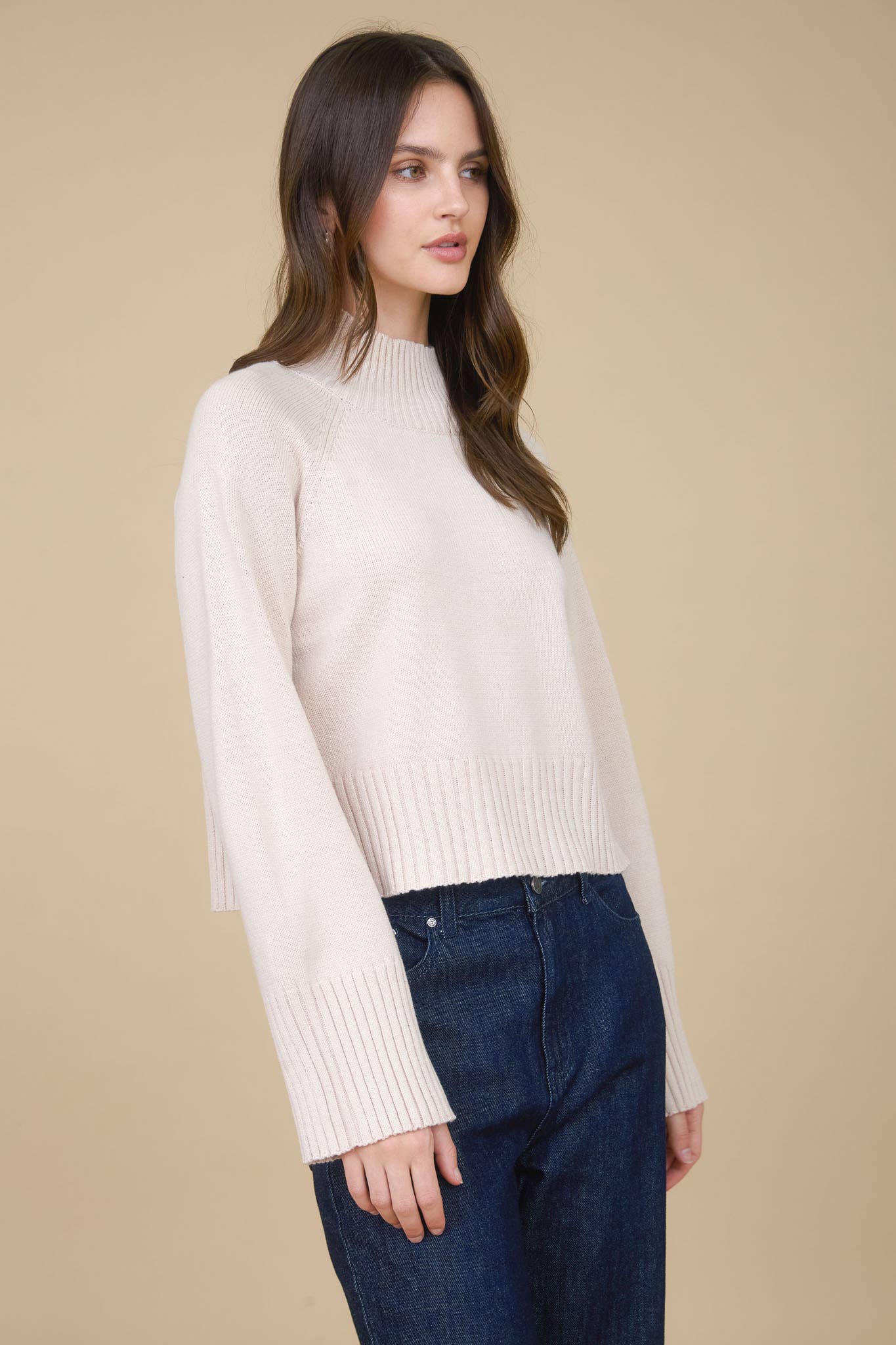 Allie mock neck sweater