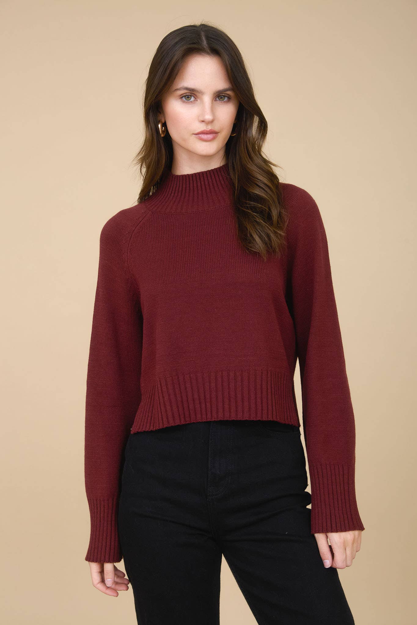 Allie mock neck sweater