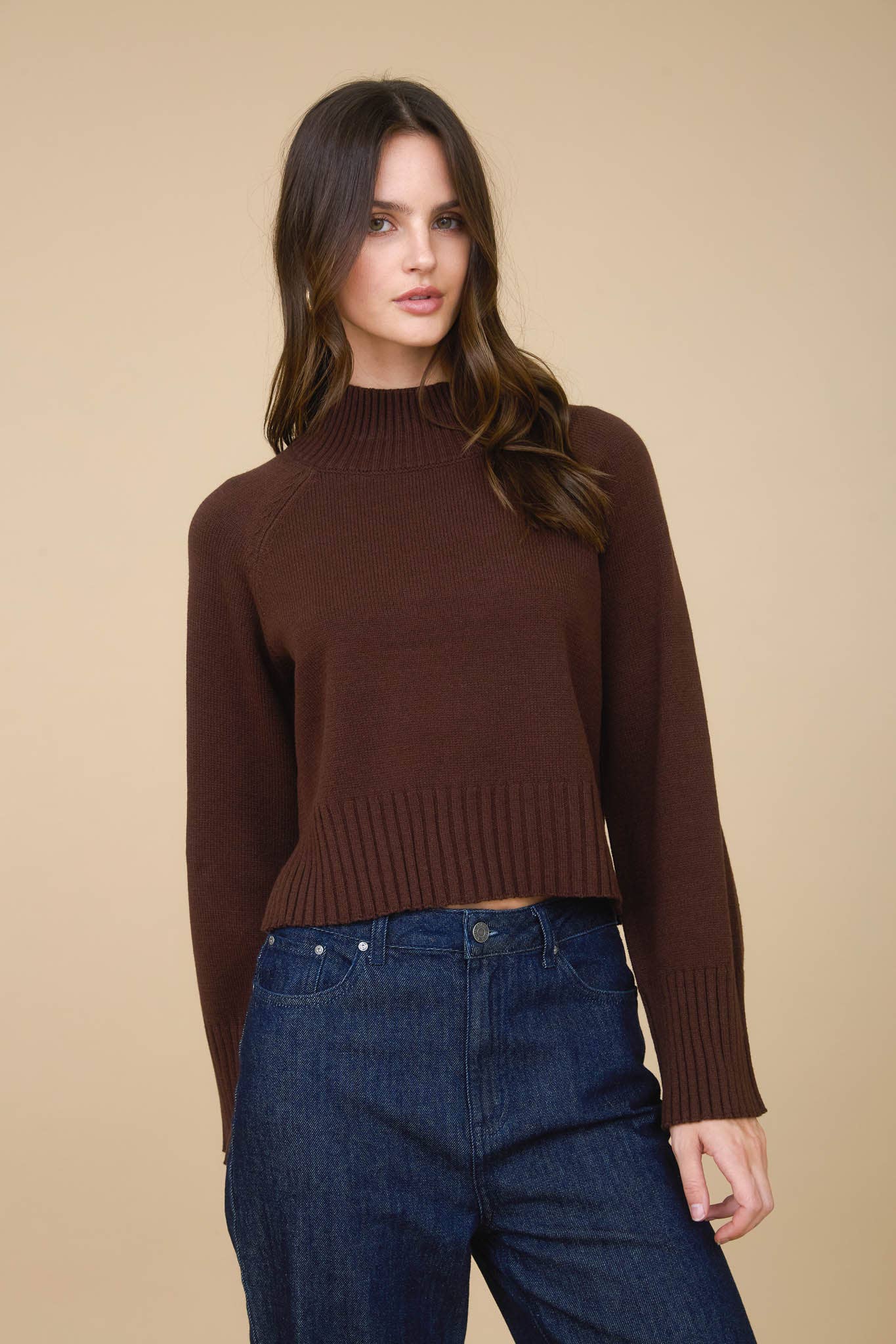 Allie mock neck sweater
