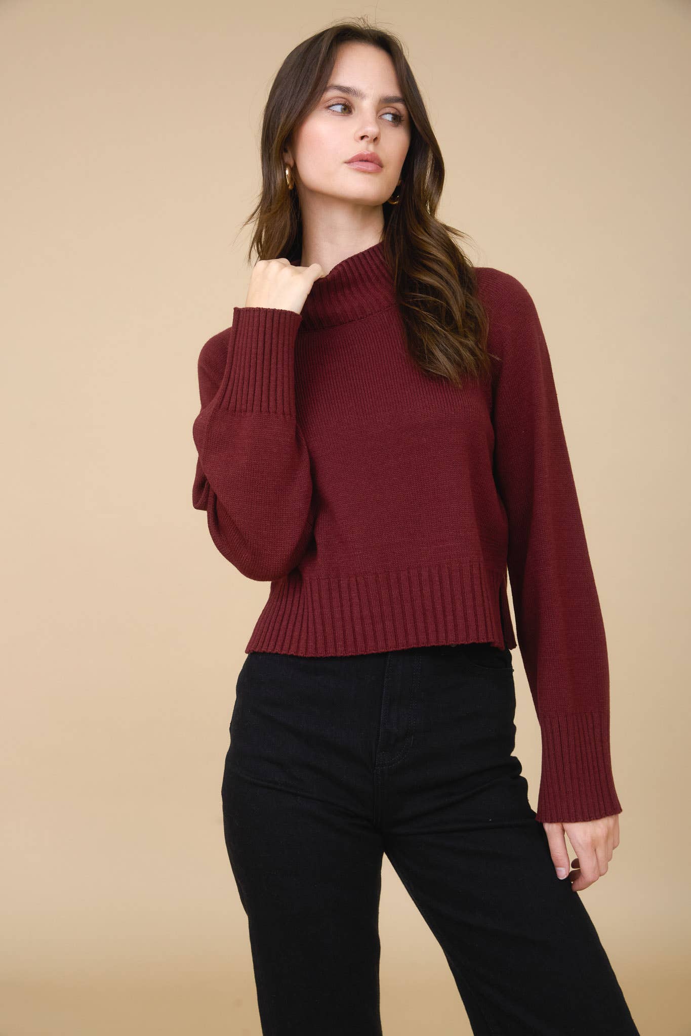 Allie mock neck sweater