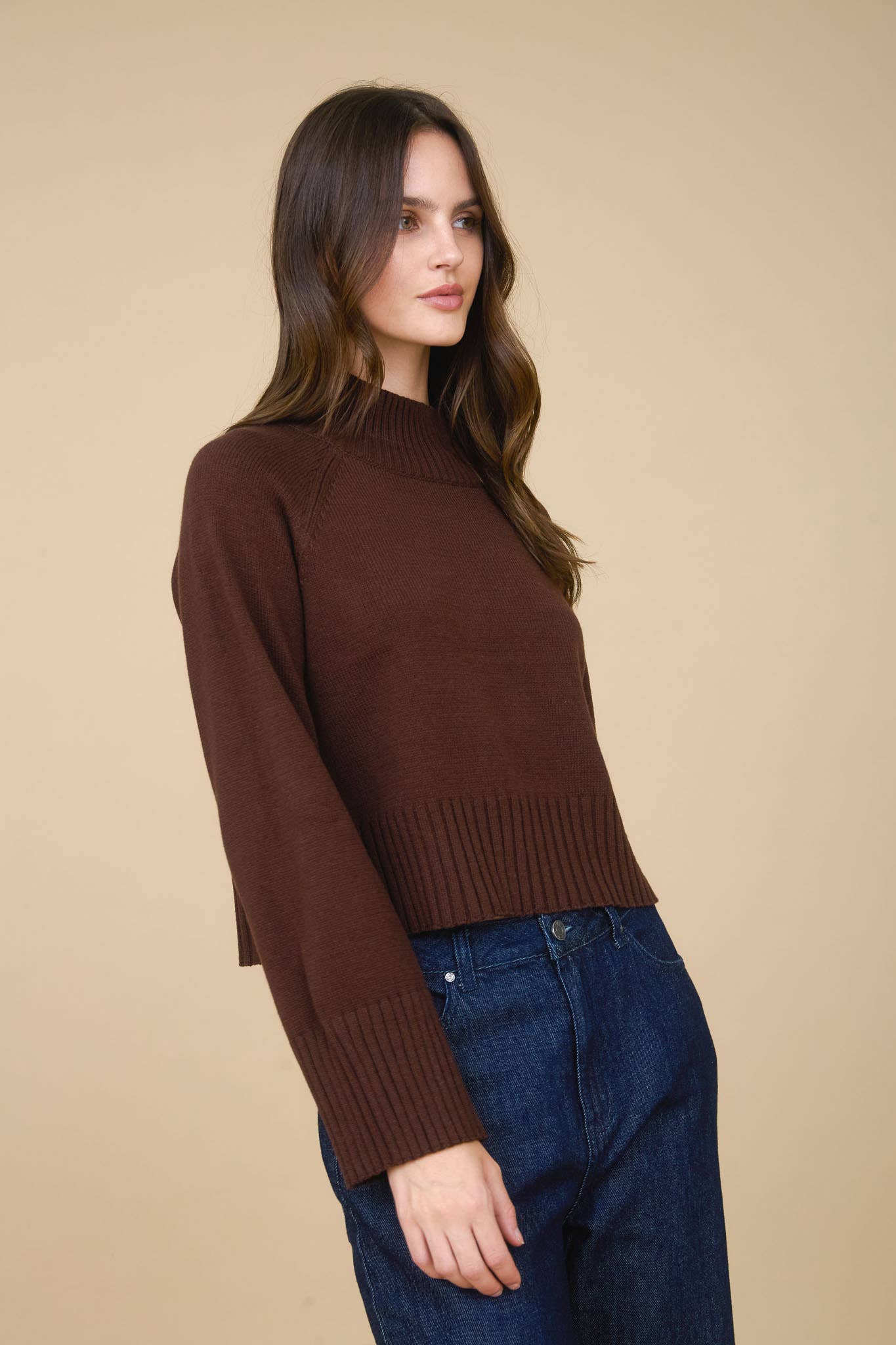 Allie mock neck sweater